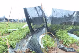 Minister calls for strengthening disaster response