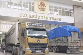 Prolonged nCoV epidemic could affect budget revenue: MoF