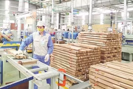 Wood processing to become spearhead economic sector by 2025