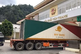 nCoV outbreak impacts Vietnam’s trade with not only China: official