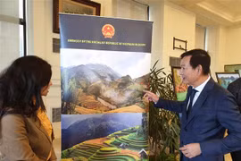 Vietnamese culture on show in Egypt’s second-largest city