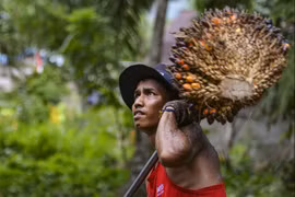 COVID-19: Malaysia’s Sarawak state reels from foreign workers’ ban