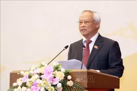 Int’l, NGOs meet ahead of Lunar New Year festival 