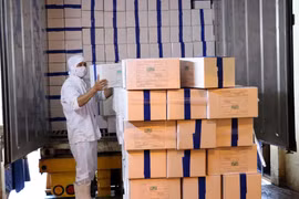 Vietnam exports first batch of shrimp to EU under EVFTA