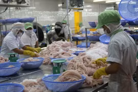 Soc Trang’s export revenue grows 26 percent despite COVID-19