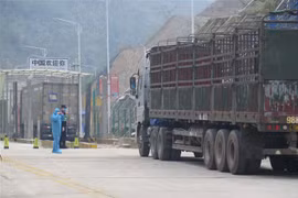 Tan Thanh border gate in Lang Son resumes operation