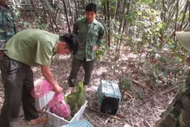 Vietnam hailed for strides in protecting people, biodiversity 