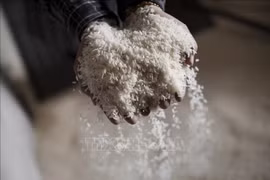 Thailand: Severe drought to push agricultural product prices up