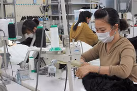 Japan provides top care for Vietnamese guest workers