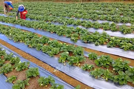 Vietnam responds to 2020 World Tourism Day