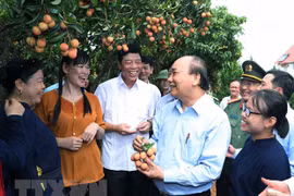 Bac Giang urged to pursue intensive growth model 