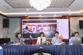 Vietnam holds national consultation on promoting social work in ASEAN