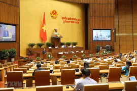 Lawmakers expected to adopt resolutions ratifying EVFTA, EVIPA