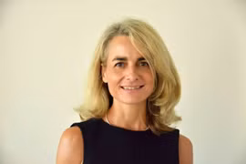 Vietnam succeeding in connecting ASEAN with UNSC: French diplomat