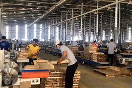 Agro-forestry-fishery enjoys 7.25 billion USD trade surplus in nine months
