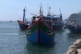 Vietnam requests China to investigate incident related to Vietnamese fishing vessel in Hoang Sa