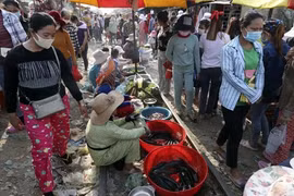 Cambodia works to ensure food supply amid pandemic 