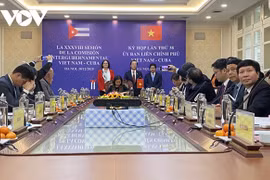 Vietnam, Cuba seek ways to raise trade to 500 million USD