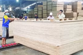 Local firms still not aware of anti-dumping investigations