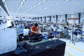 Asia Times: Vietnam an outlier during COVID-19 pandemic