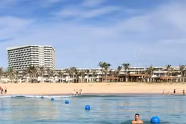 Dolphin stuns beachgoers at Cam Ranh Bay
