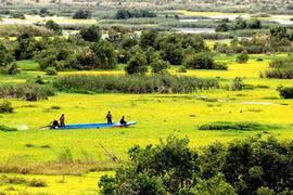 PM agrees with plan for bio-diversity cooperation with Laos