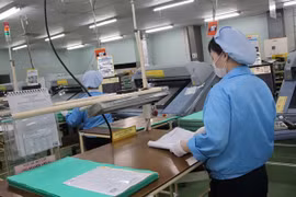 Dong Nai hopes to attract FDI by improving investment climate