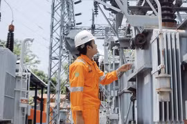 Indonesia to invest 6.3 bln USD in power infrastructure development