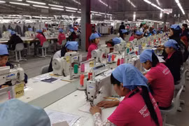 CPTPP not proving a hit across the board