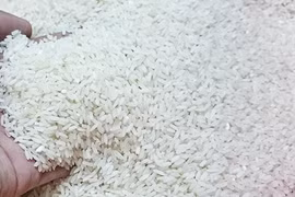 Vietnam to achieve rice export target this year