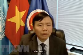 Vietnam backs peace progress led by Afghans: Ambassador