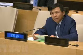 Vietnam pledges to promote rule of law at national, int’l level
