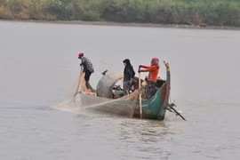 Cambodia: Falling water levels affecting fish population