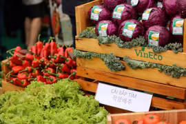 Consumer price index up 0.4 percent in July