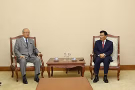 7th Japan-Vietnam Festival postponed over COVID-19 fears