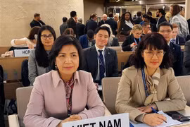 Vietnam highlights ASEAN’s efforts in protecting children’s rights
