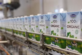 Vinamilk wins FMCG brand owner for 8th consecutive year
