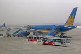 Nearly 330 Vietnamese citizens brought home from Angola
