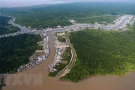 Ca Mau develops eco-tourism tourism