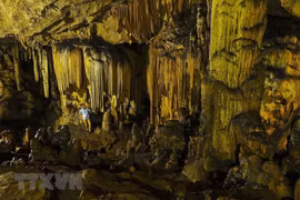 Van Trinh Cave in Ninh Binh province