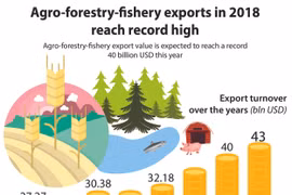 Agro-forestry-fishery exports in 2018 reach record high