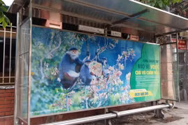 Solar power charging for bus commuter, tourists 