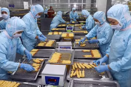 Control of seafood exports to Japan must keep strict: experts