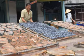 Bac Lieu’s district focuses on marine economic development