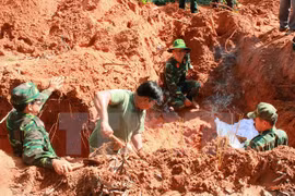 Kon Tum, southern Lao provinces beef up cooperation