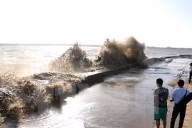 Bac Lieu declares emergency over threatened sea dykes 
