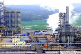 Thai group increases stake in VN’s first petrochemical complex