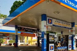 Petrolimex enjoys huge benefits through treasury stock sale