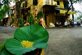 The taste of Hanoi’s autumn