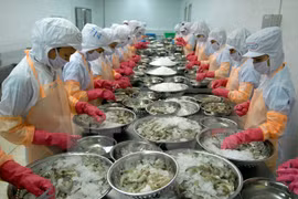 Vietnam’s shrimp exports to EU increase 7.5 percent